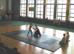 pokaz aikido