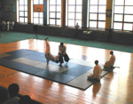 pokaz aikido